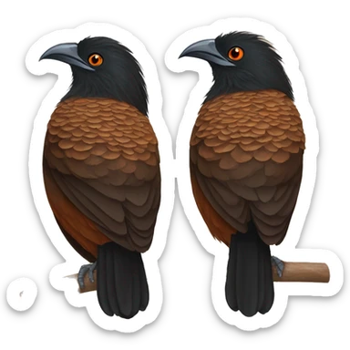 Greater coucal sticker