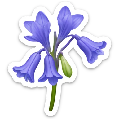 Bluebell sticker