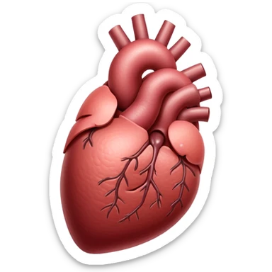 liver organ, standard sticker