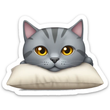 Scottish grey cat laying on the pillow sticker