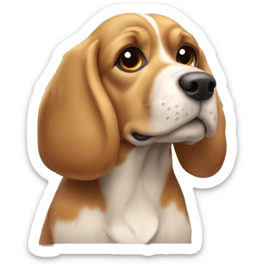 Beagle cocker spaniel cross with light brown flat fur sticker