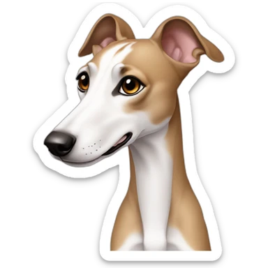 Whippet white white brown ear sticker