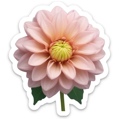 Light dahlia sticker