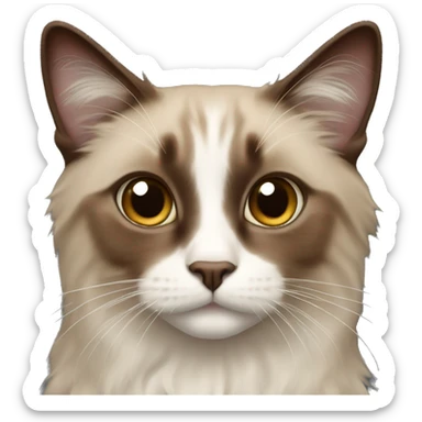 Brown ragdoll cat sticker
