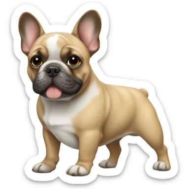 French bulldog sticker