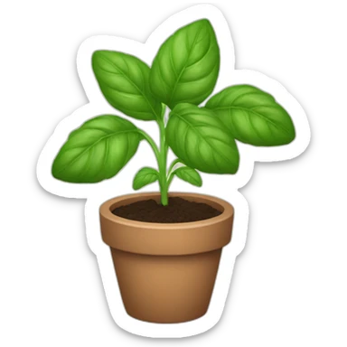 Basil plant sticker