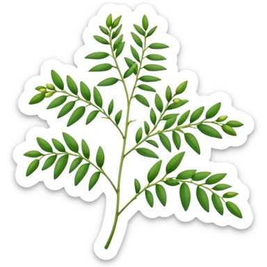 pigeonpea plant with green leaves and pods, simple and clear sticker