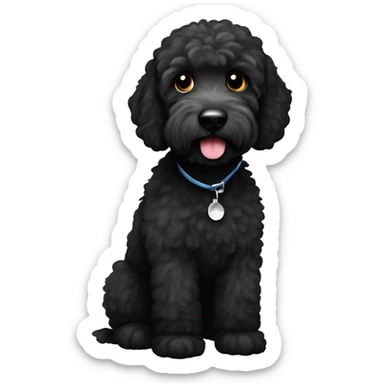 Black labradoodle with white chin sticker