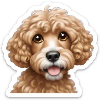 Cavapoo sticker