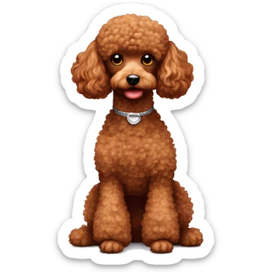 Red toy poodle with silver poodle sticker