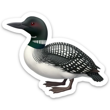 Common Loon sticker