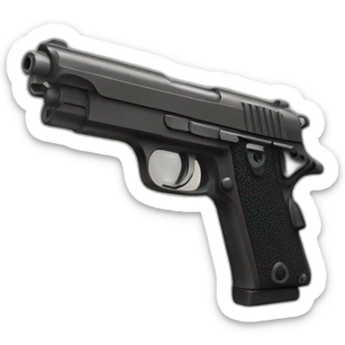 Gun sticker