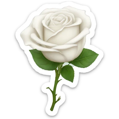 White rose sticker