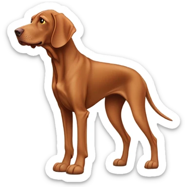 Hungarian vizsla wearing crocs sticker