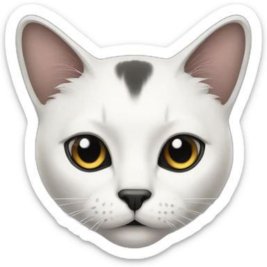 cat-white-face-with-black-forehead sticker