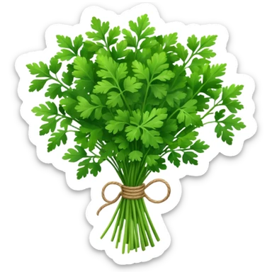 parsley herb bouquet sticker