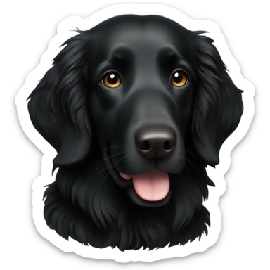 All Black Flat- Coated Retriever  sticker