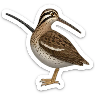 solitary snipe sticker