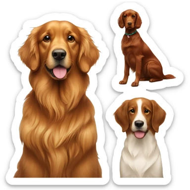 Golden retriever and Irish setter sticker