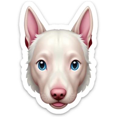 albino doberman with blue eyes sticker