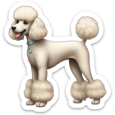 Dog Standart Poodle full-height sticker