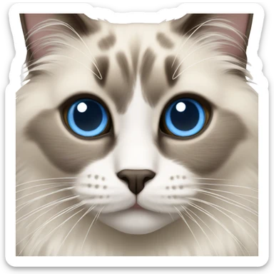 Ragdoll cat with blue eyes sticker