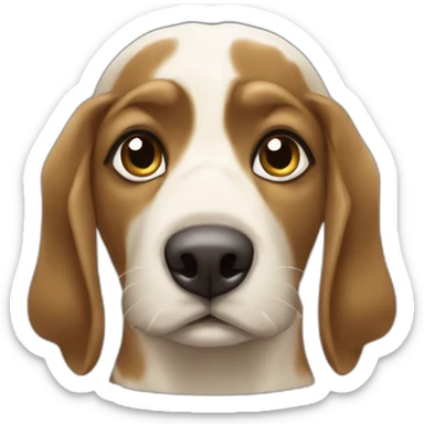 Une tortue et sur sont dos un chien sticker