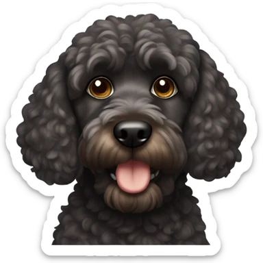 Black cockapoo wearing a sweatshirt with brown eyes sticker