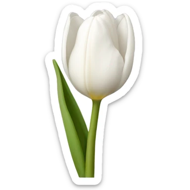 White tulipan sticker