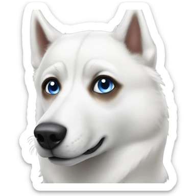 White husky with one blue eye one brown eye sticker