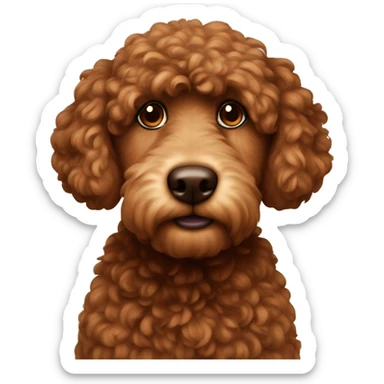 Brown pudel  sticker