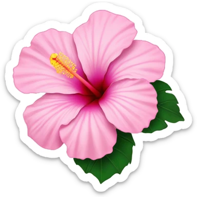 Pink Hibiscus Flower sticker