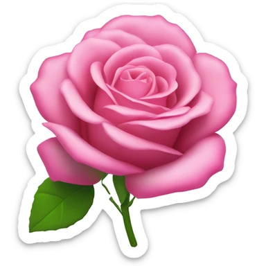 Rosa sticker