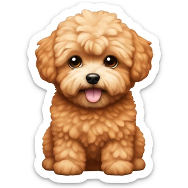 Maltipoo with orange/brown fur sticker