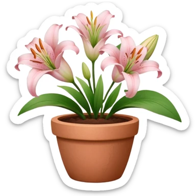 light pink lily flowers in a clay pot sticker