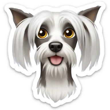 Chinese crested dog with Tshirt  sticker