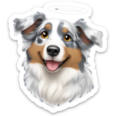 Blue Merle Australian shepherd one ear sticking up as an angel sticker