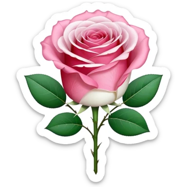 One pink rose and one white rose in transparent bouquet with red band  sticker