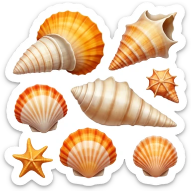 Conchas e sol sticker