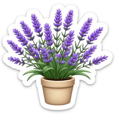 Lavanda  sticker