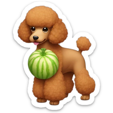 Light brown poodle with a piece of melon sticker