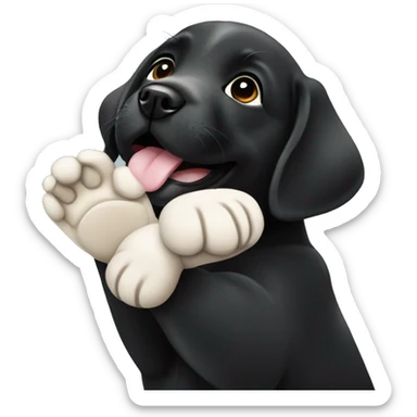 sitting black labrador puppy makes high five with one paw sticker