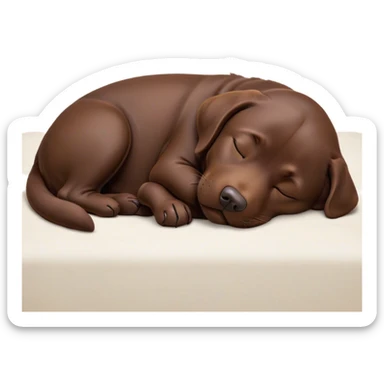 Meme-Worthy Cute Sleeping Chocolate Labrador Portrait Emoji, Head resting peacefully with a contented smile, showcasing a delightfully robust build and a luxuriously soft chocolate Fur, eyes shut in a serene nap, Simplified yet hilariously adorable features, highly detailed, glowing with a soft, drowsy light, high shine, relaxed and utterly lovable, stylized with an air of playful laziness, bright and heartwarming, soft glowing outline, capturing the essence of a comically sleepy companion, so meme-worthy it feels like it could instantly become the next viral sensation of adorable slumber! sticker
