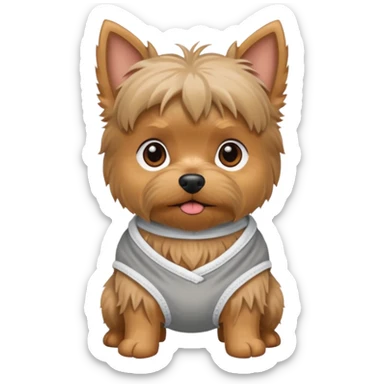 Small old yorkie wearing a diaper sticker