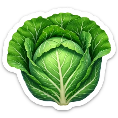 cabbage leaf only one leaf  sticker