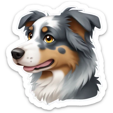 Sad blue merle Australian shepherd sticker