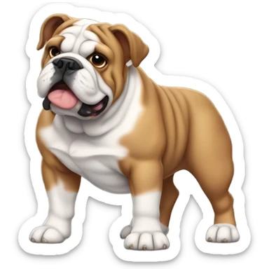 English bulldog sticker