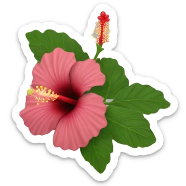 A hibiscus  sticker