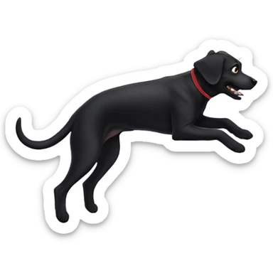 Black dog levitating  sticker