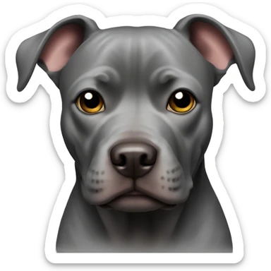 Black Pitbull  sticker